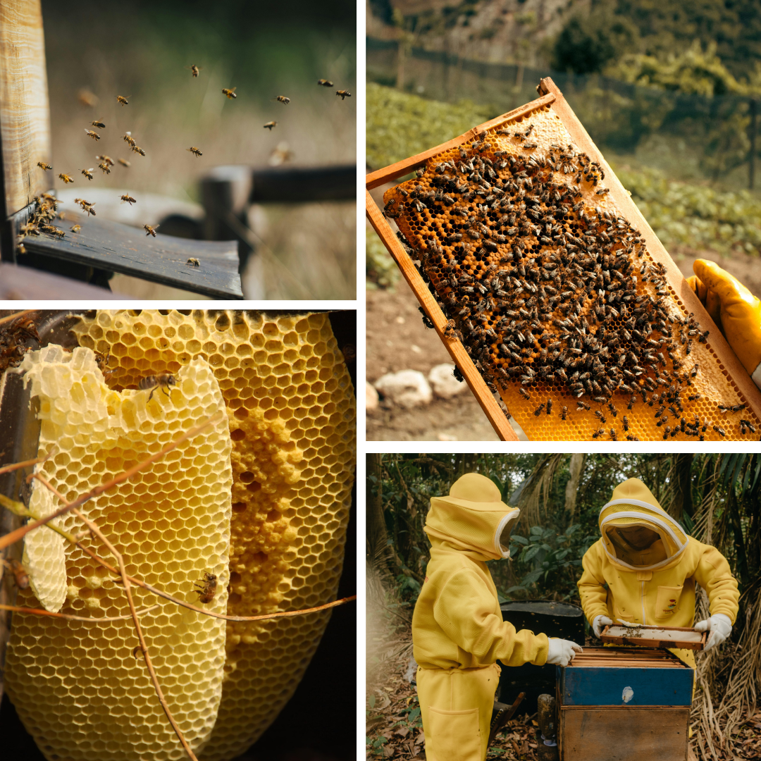 women in beige monochrome photo collage instagram post
